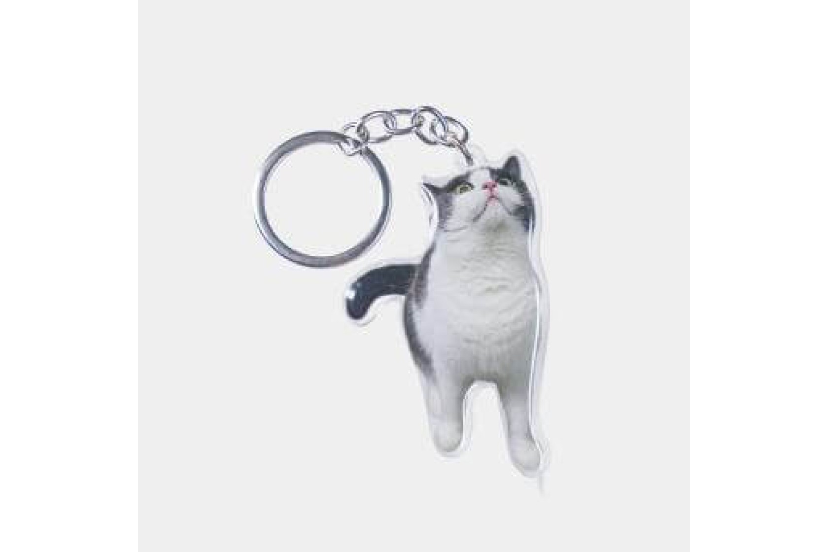 Pet Customized Keychain