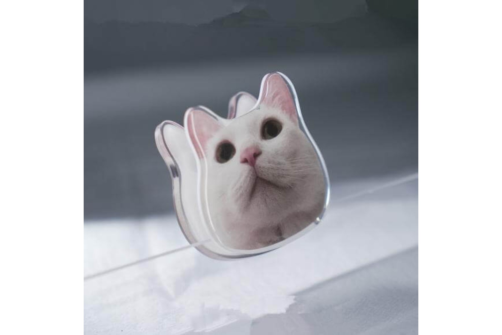 Pet Acrylic Decorative Clip