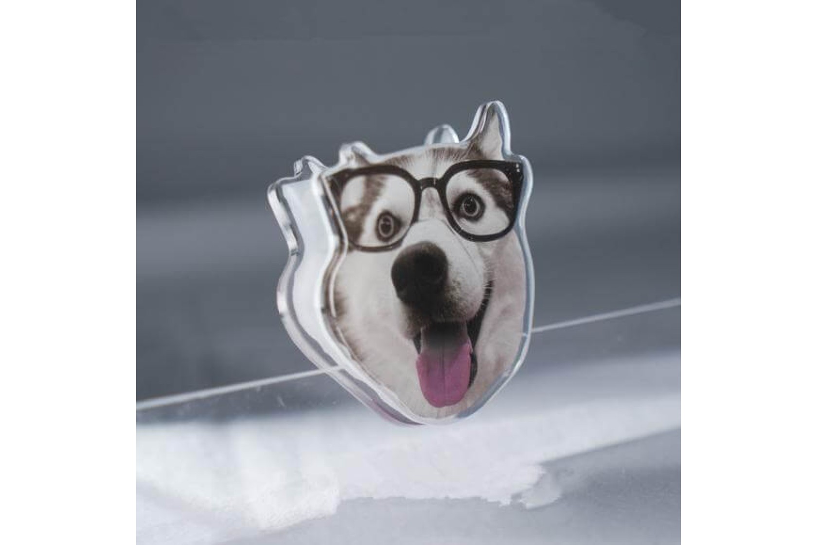 Pet Acrylic Decorative Clip