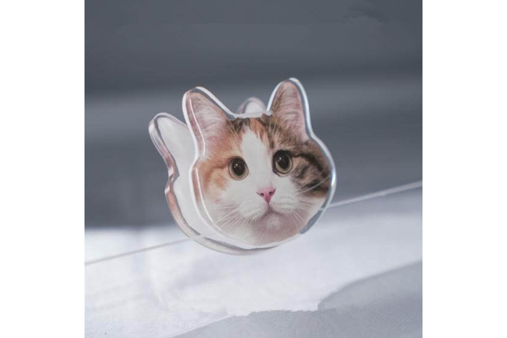 Pet Acrylic Decorative Clip