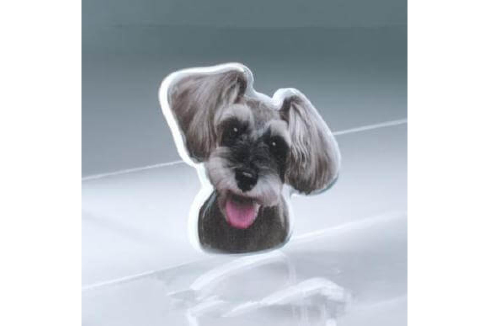 Pet Customized Fridge Stickers