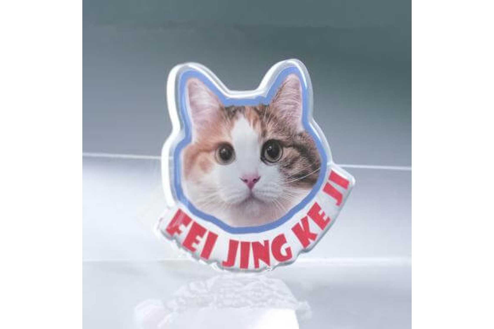 Pet Customized Fridge Stickers