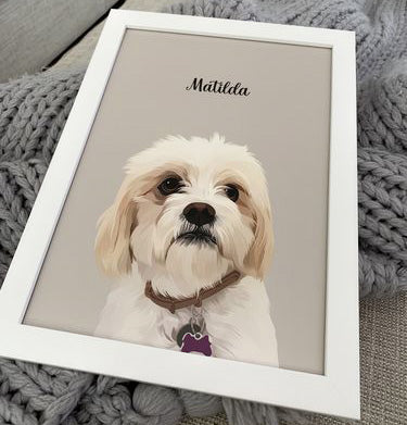 Grey background dog portrait