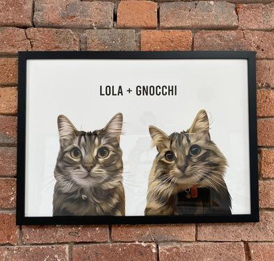 Black frame two pet cat portrait